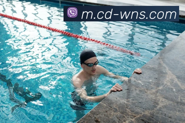 威尼斯人官网平台生态图