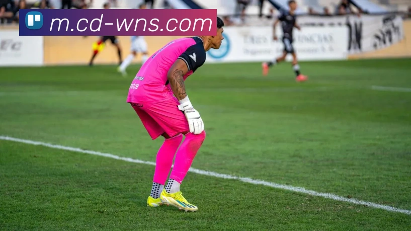 威尼斯人官网APP 封面图